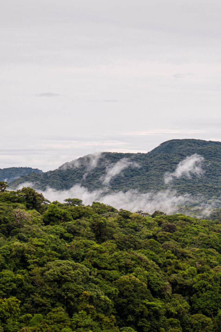 A guide to Monteverde, Costa Rica