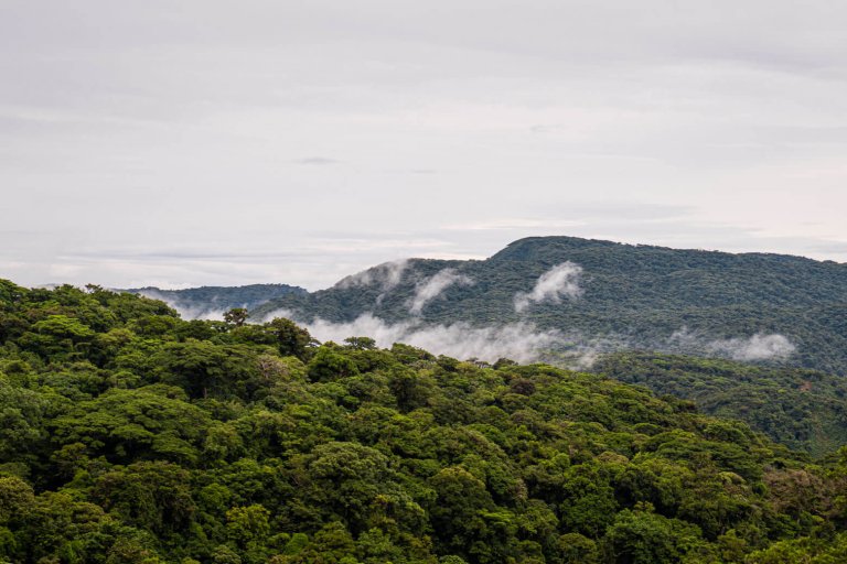 A guide to Monteverde, Costa Rica