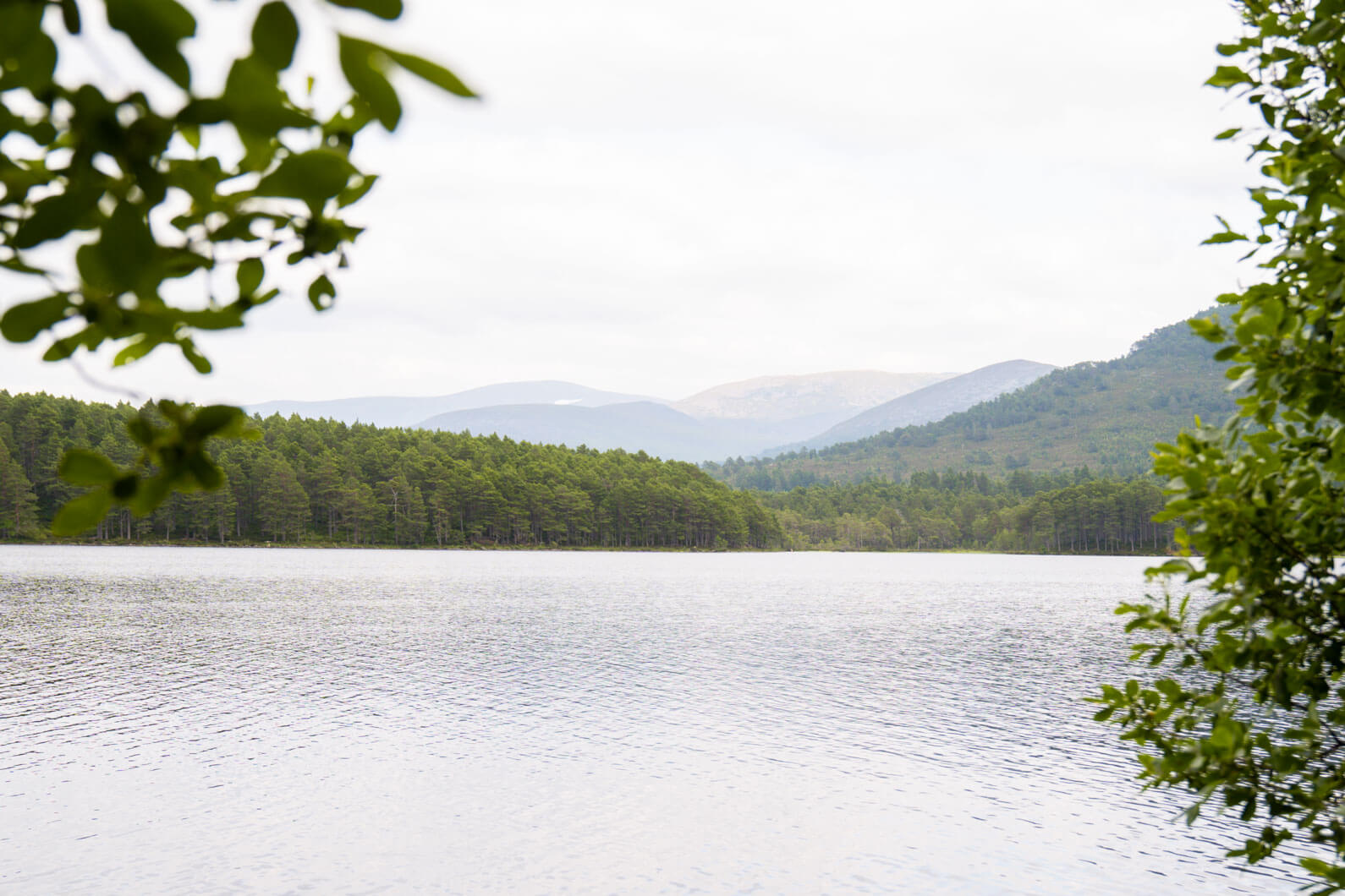 A complete guide to Cairngorms National Park, Scotland