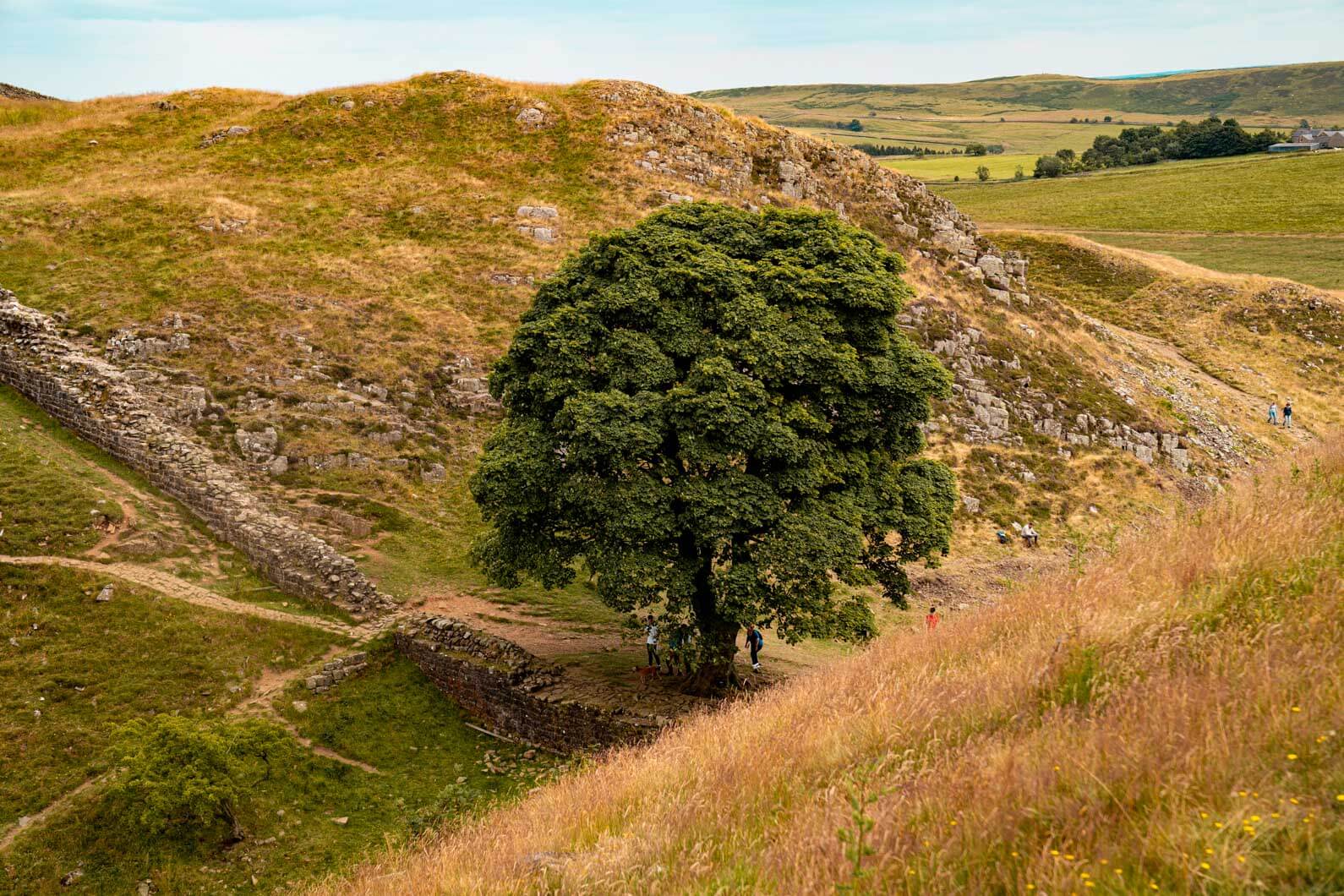 A complete guide to Northumberland National Park, England