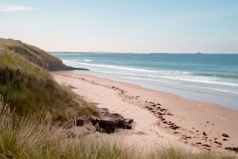 The BEST things to do on the Northumberland Coast AONB in 2021!