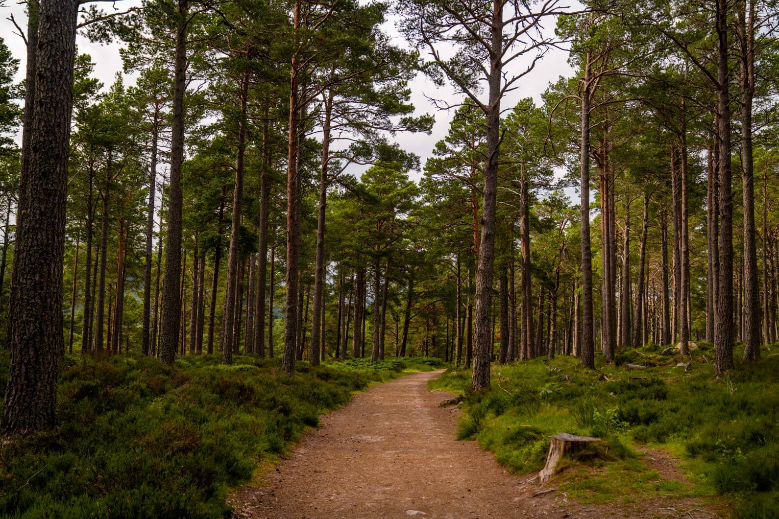 A complete guide to Cairngorms National Park, Scotland