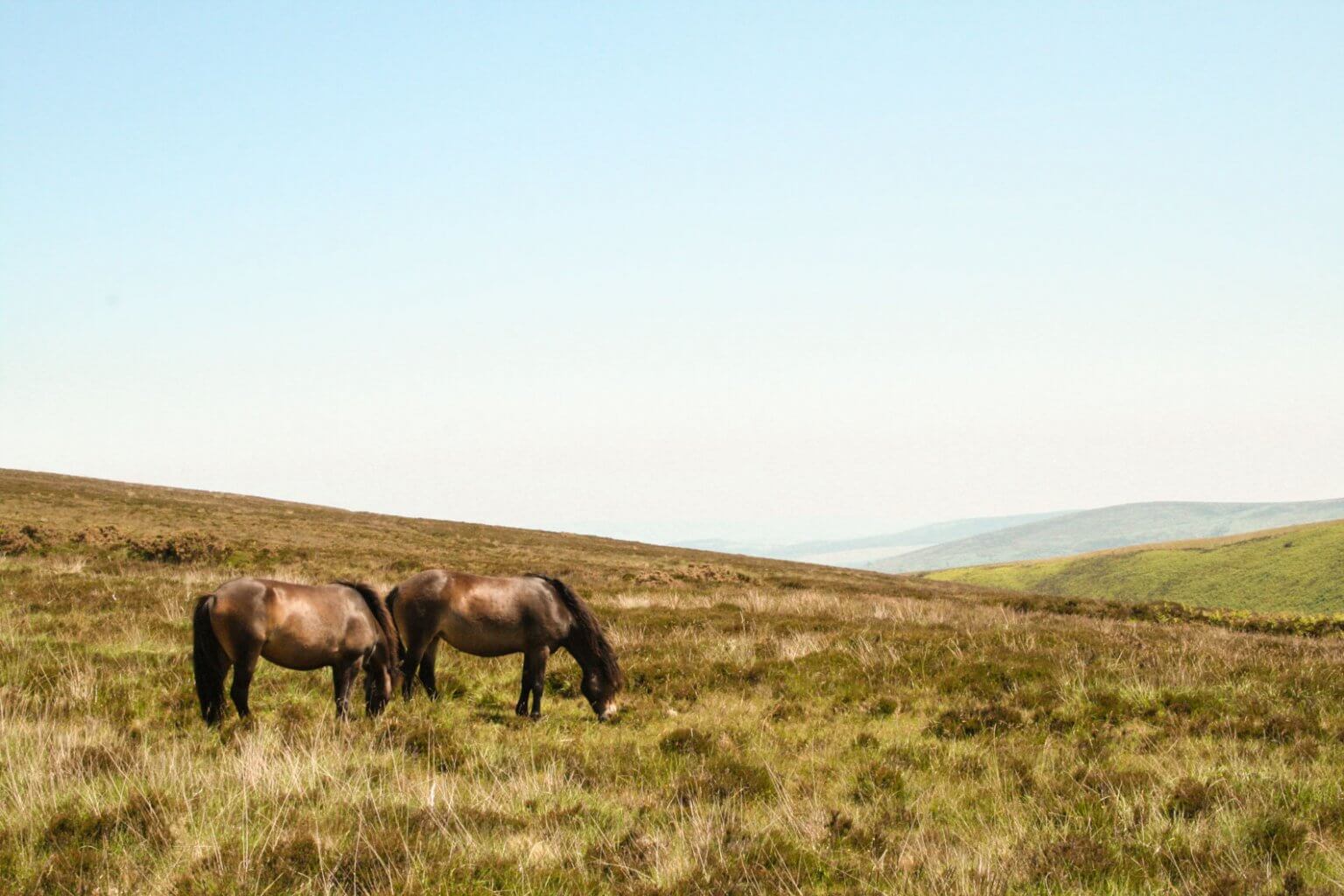 The BEST places to visit in Exmoor National Park, England in 2021!