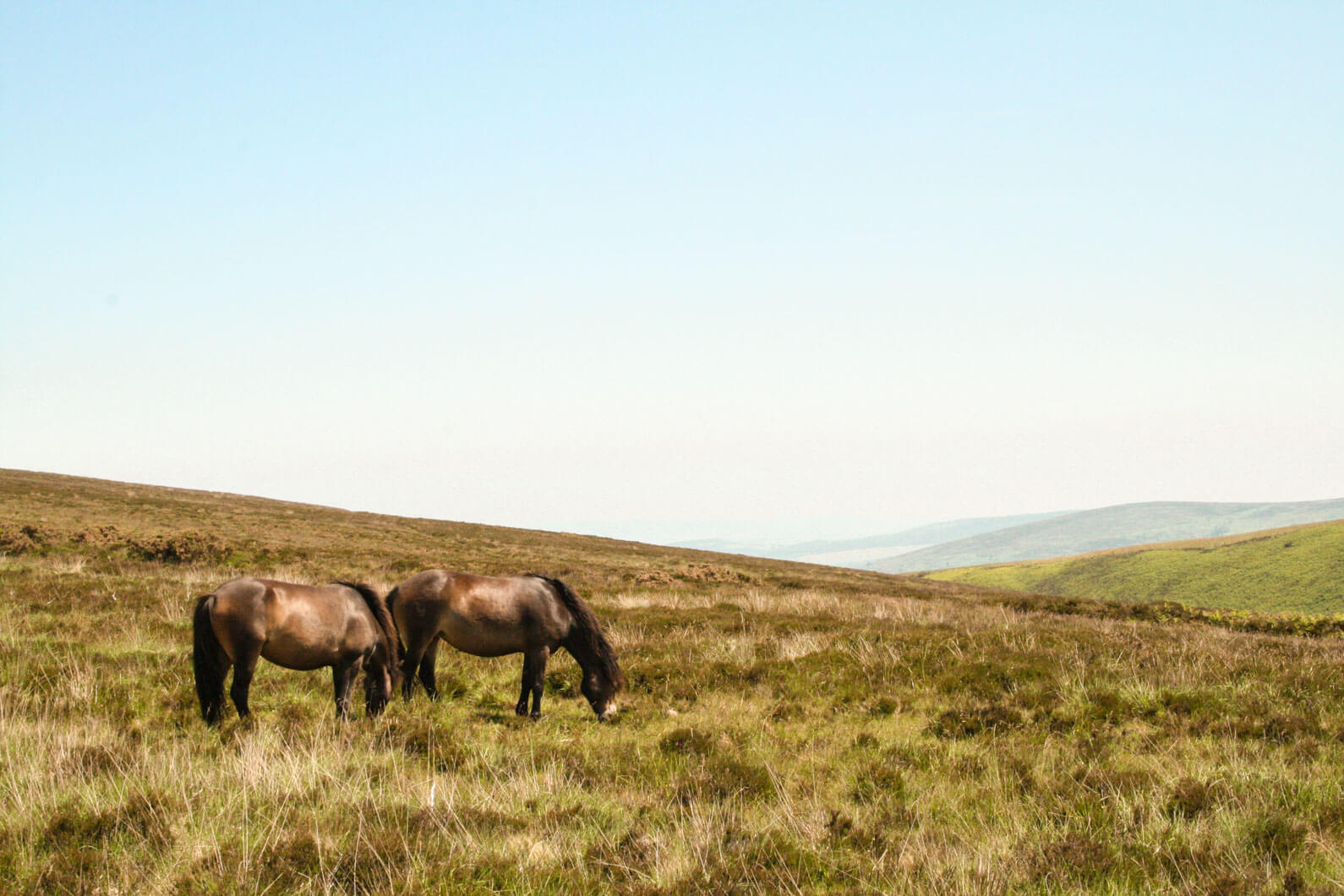 The best places to visit in Exmoor National Park...​