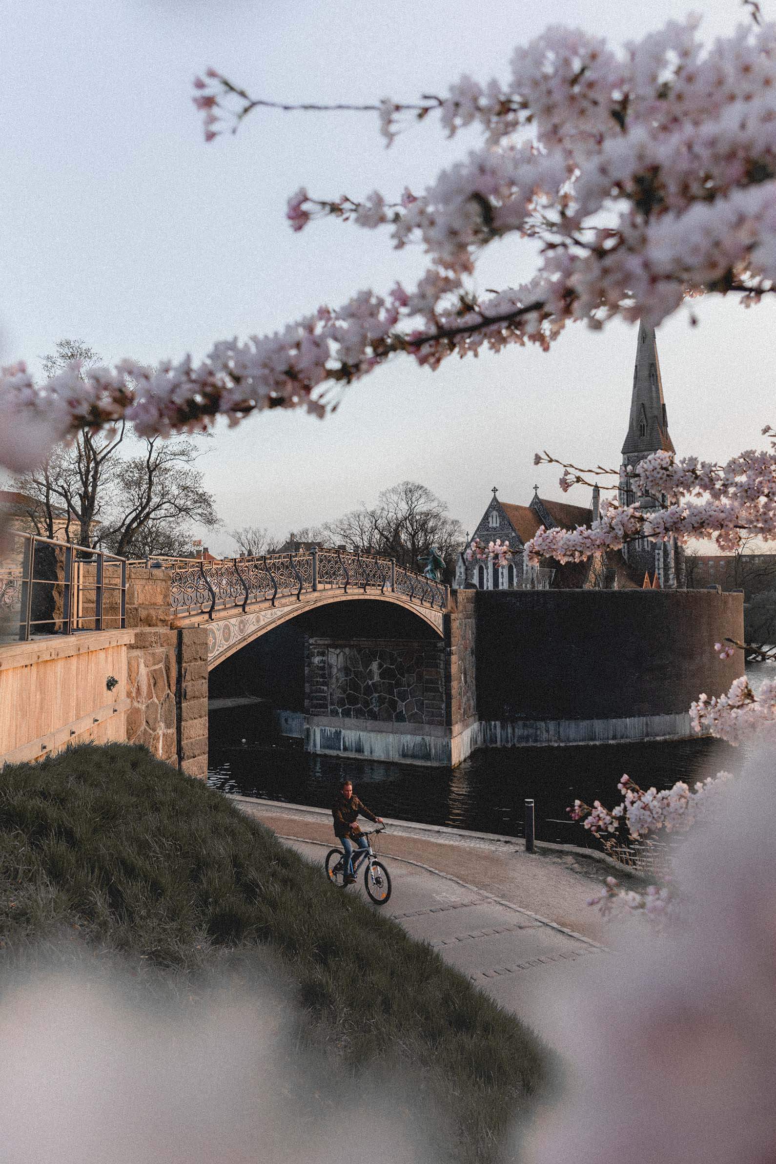 15 free things to do in Copenhagen