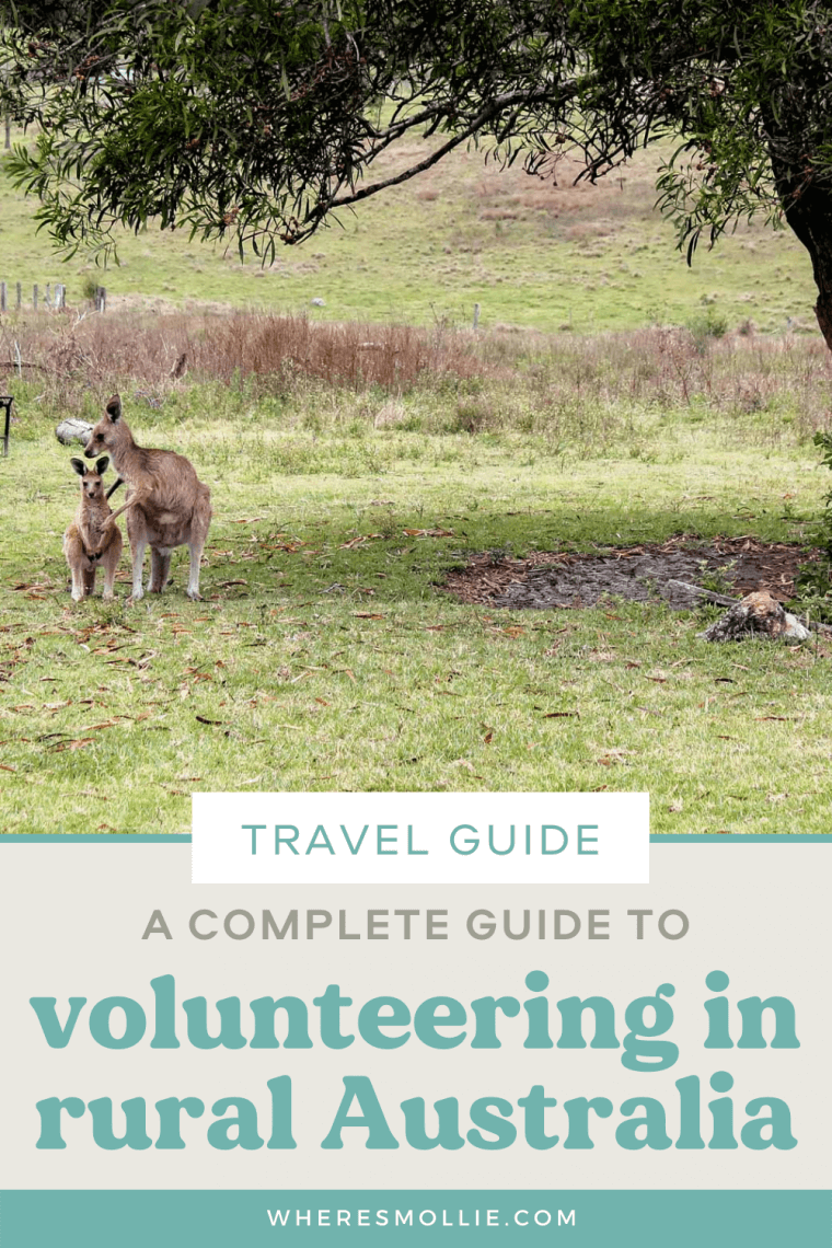 Volunteering in rural Australia: my guide and top tips