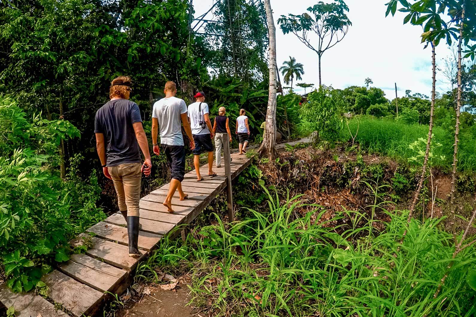 Visiting the Amazon rainforest ecofriendly ways to travel to the Amazon!