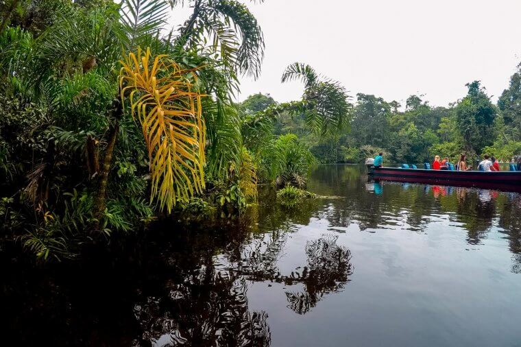 A guide to visiting the Amazon: eco-friendly things to do in the Amazon rainforest