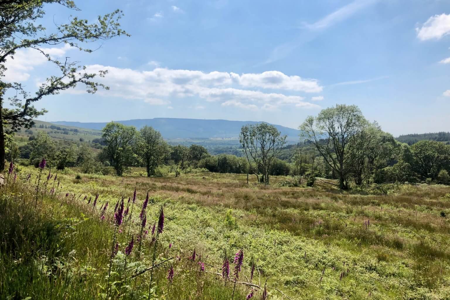 The BEST Hikes In The Brecon Beacons: Wales National Park Guide