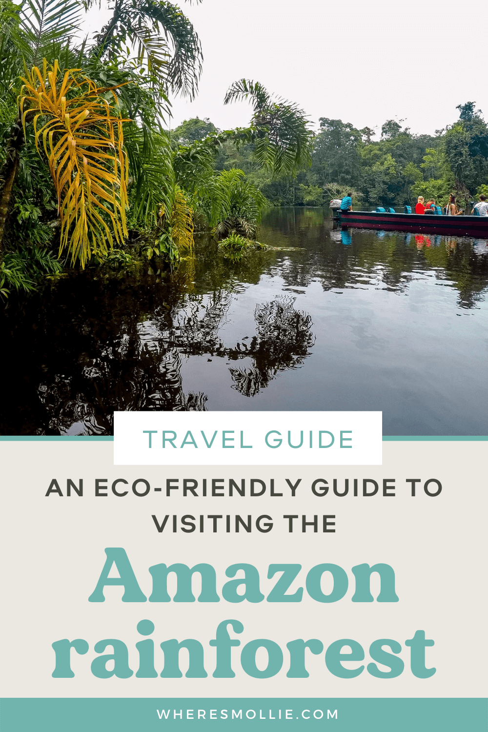 An eco-friendly guide to visiting the Amazon rainforest