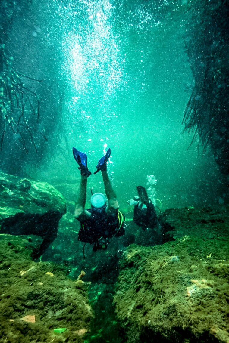 The best cenote diving on the Yucatán Peninsula, Mexico