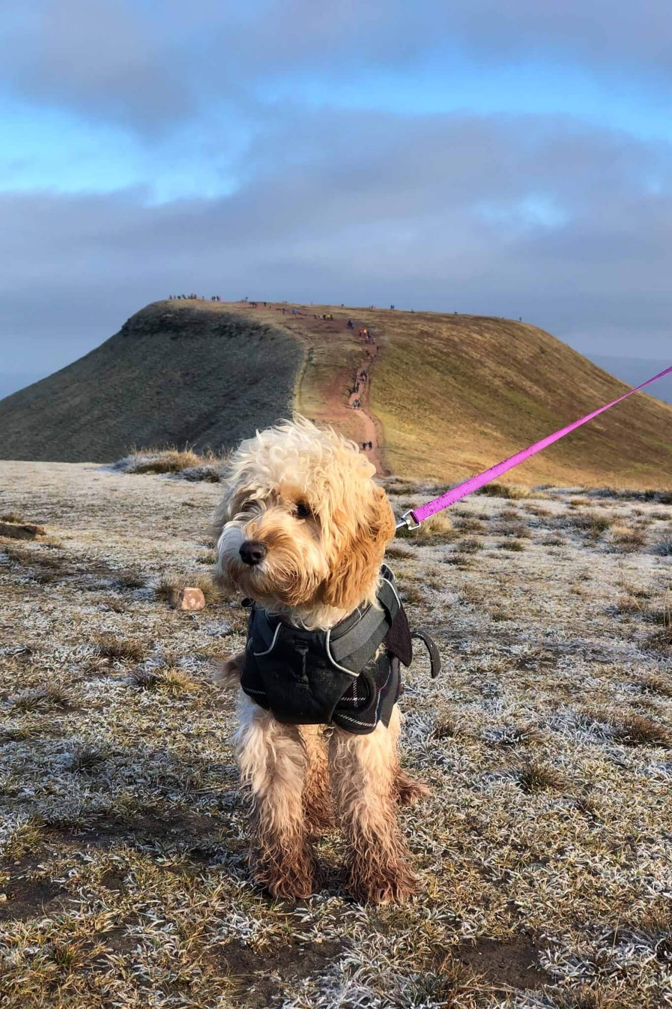 The BEST Hikes In The Brecon Beacons: Wales National Park Guide