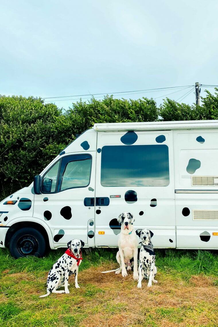 Van life with a dog: 10 top tips for travelling in a van with dogs