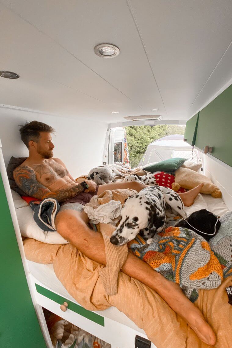 Van life with a dog: 10 top tips for travelling in a van with dogs
