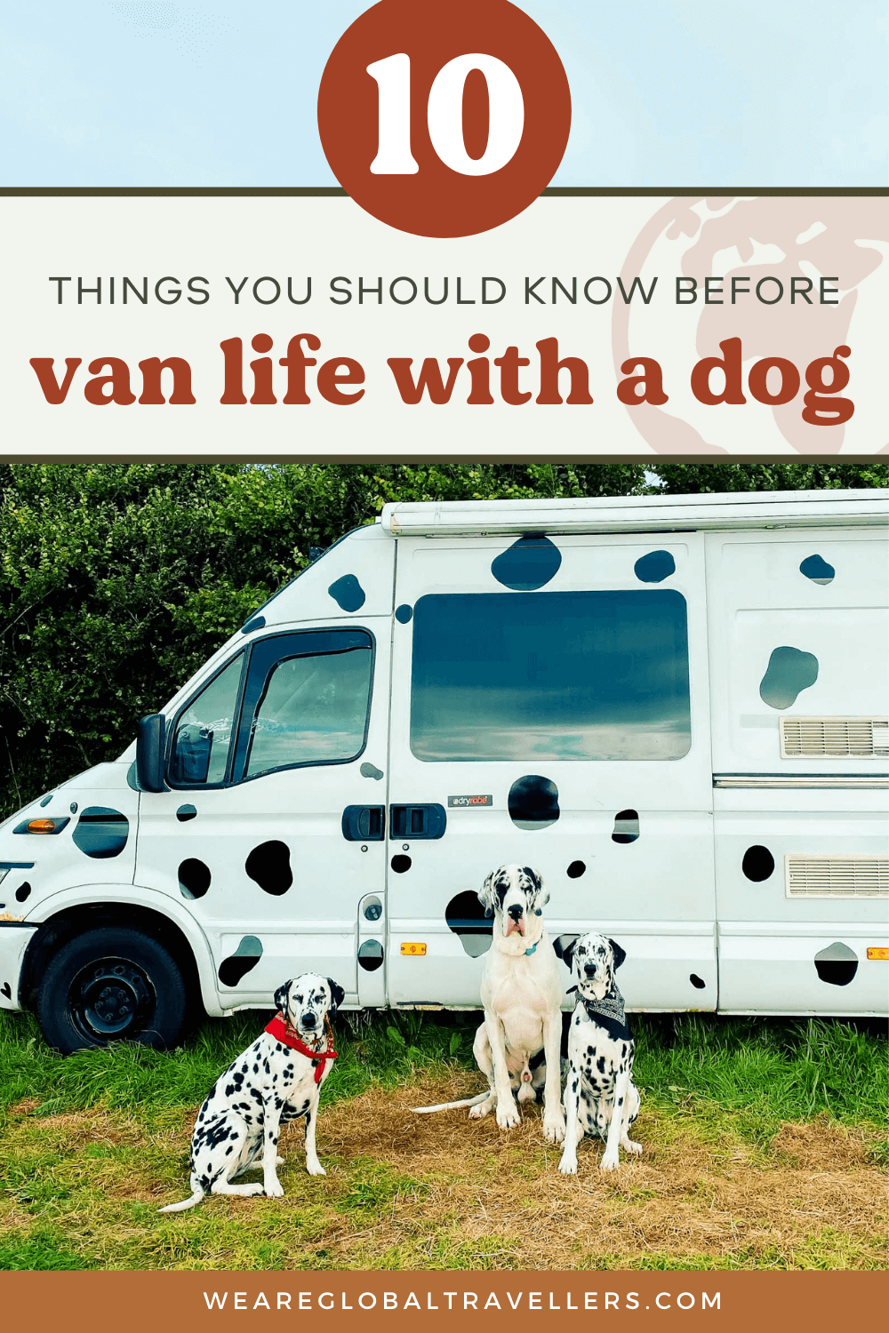 A guide to travelling in a van with your dog