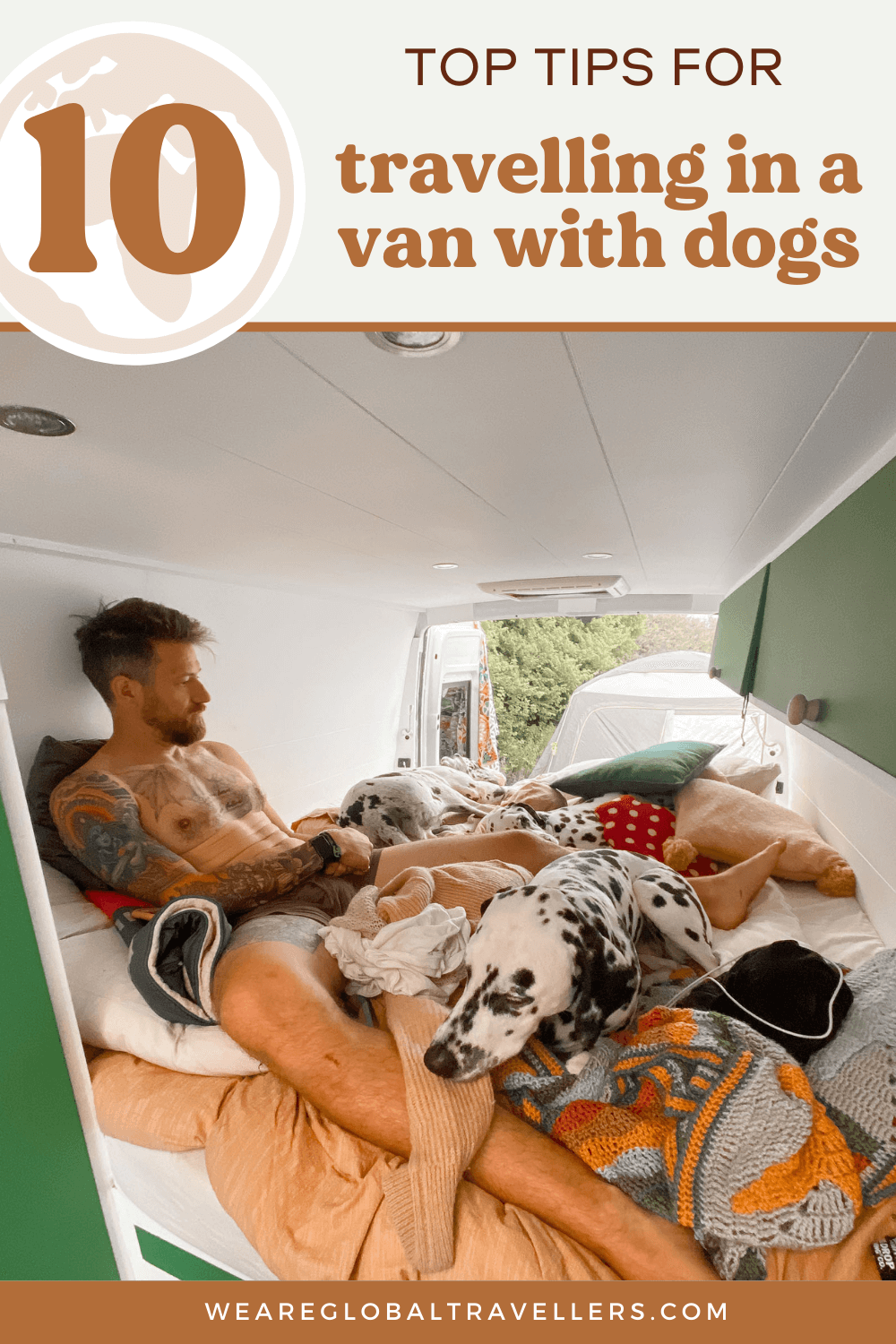 A guide to travelling in a van with your dog