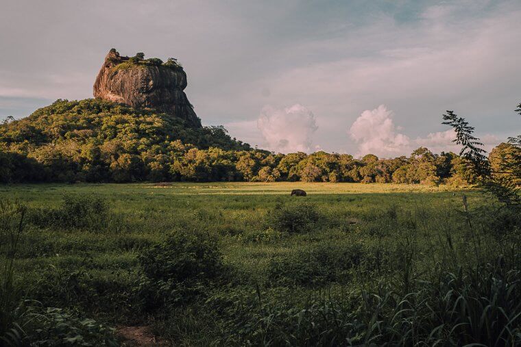 The best things to do in Sri Lanka...​
