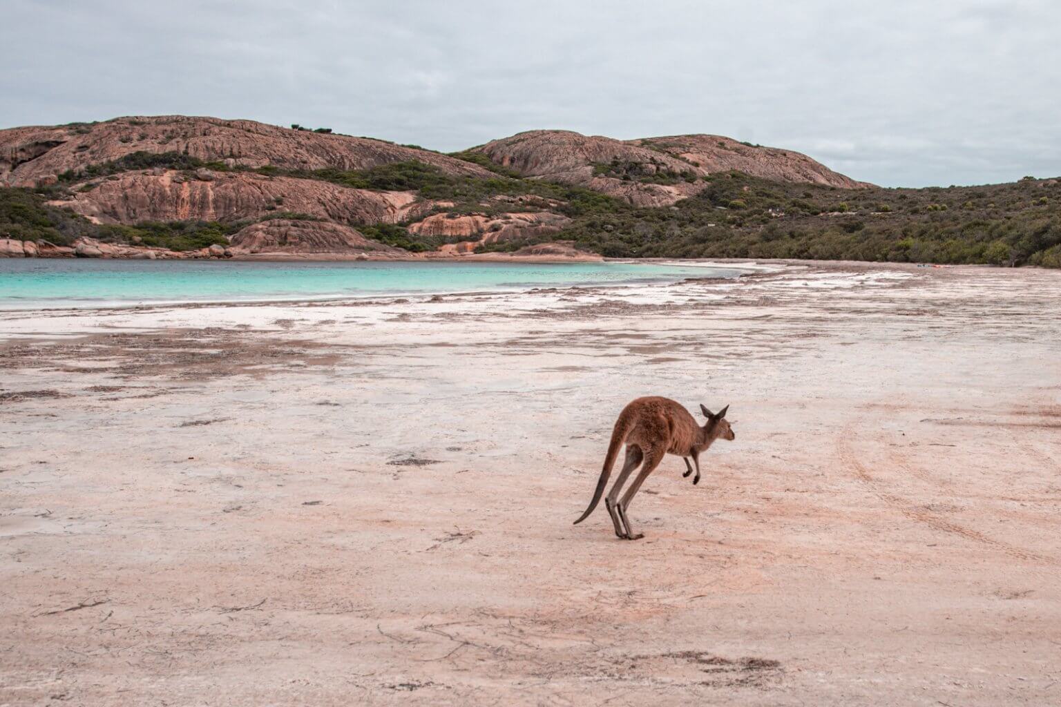 24 FUN Things To Do In Western Australia - Australia Bucket List 2022!