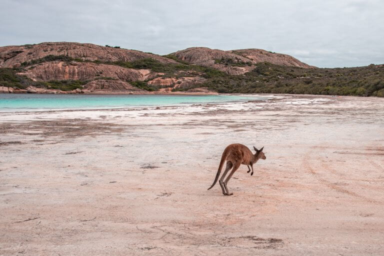 The best things to do in Western Australia