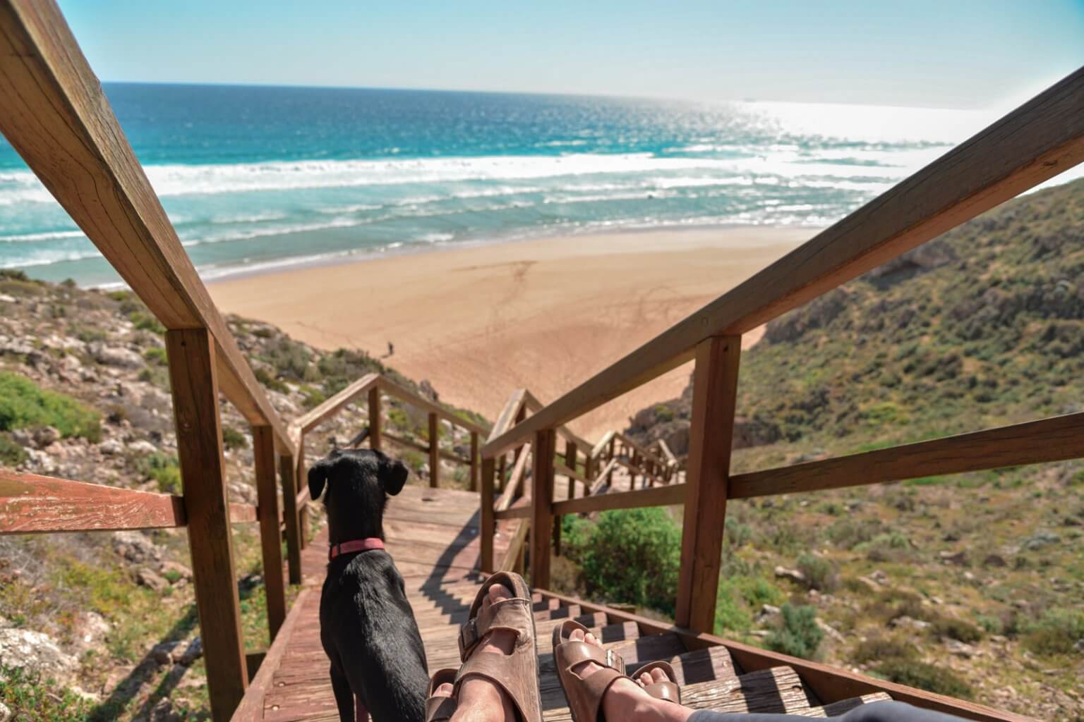 8 FUN things to do in South Australia Australia travel guide