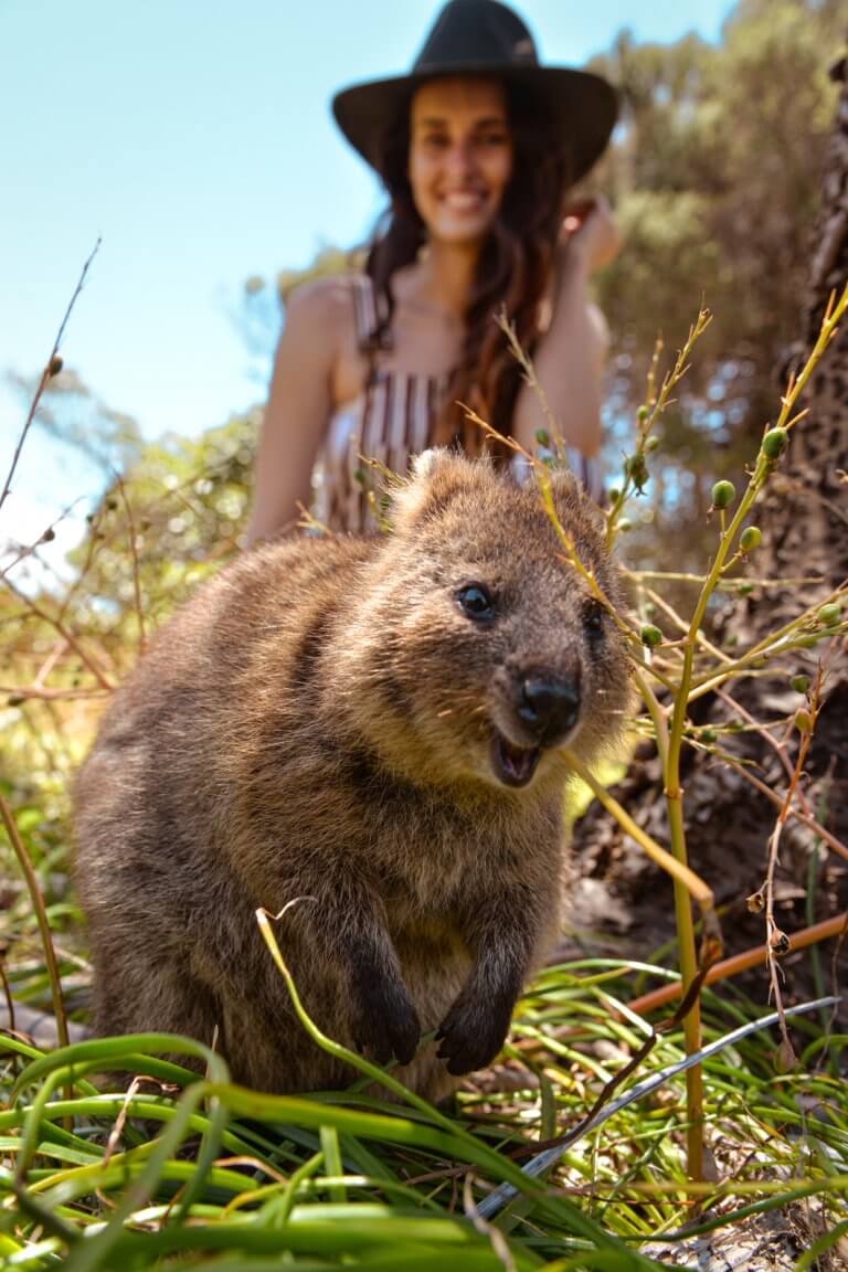 The best things to do on Rottnest Island...​