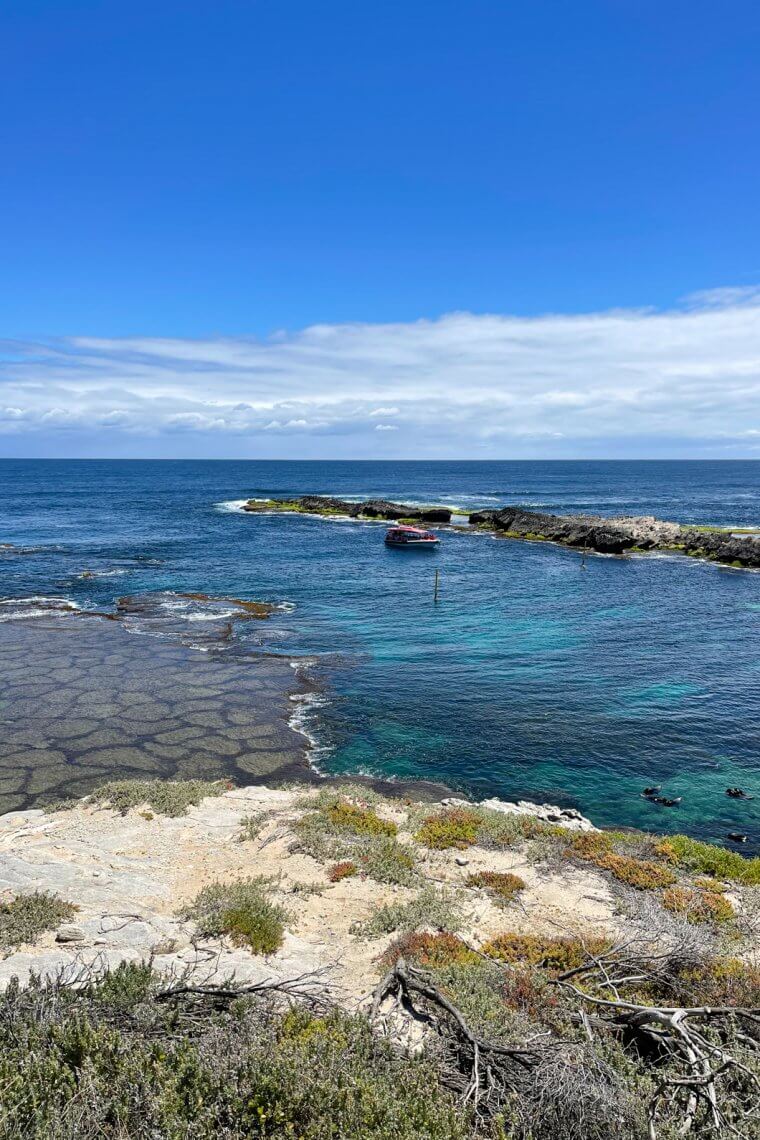 The best things to do on Rottnest Island...​