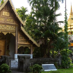 The Best Things to do in Chiang Mai