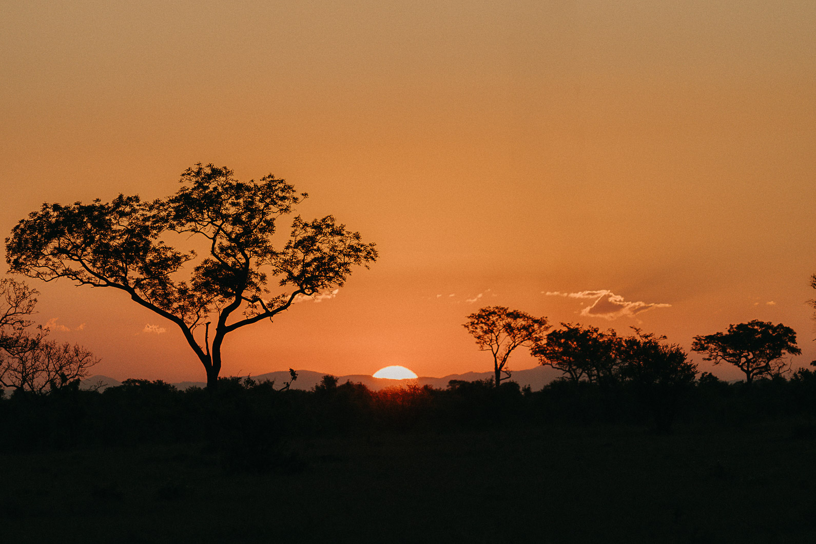 Best Places to Travel in January