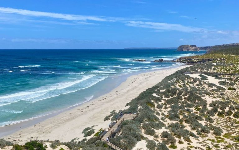 Seal Bay We Are Global Traveller The Best Things To Do on Kangaroo Island