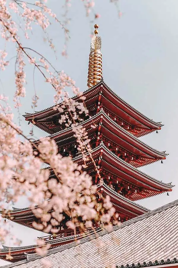 Spring in Asakusa