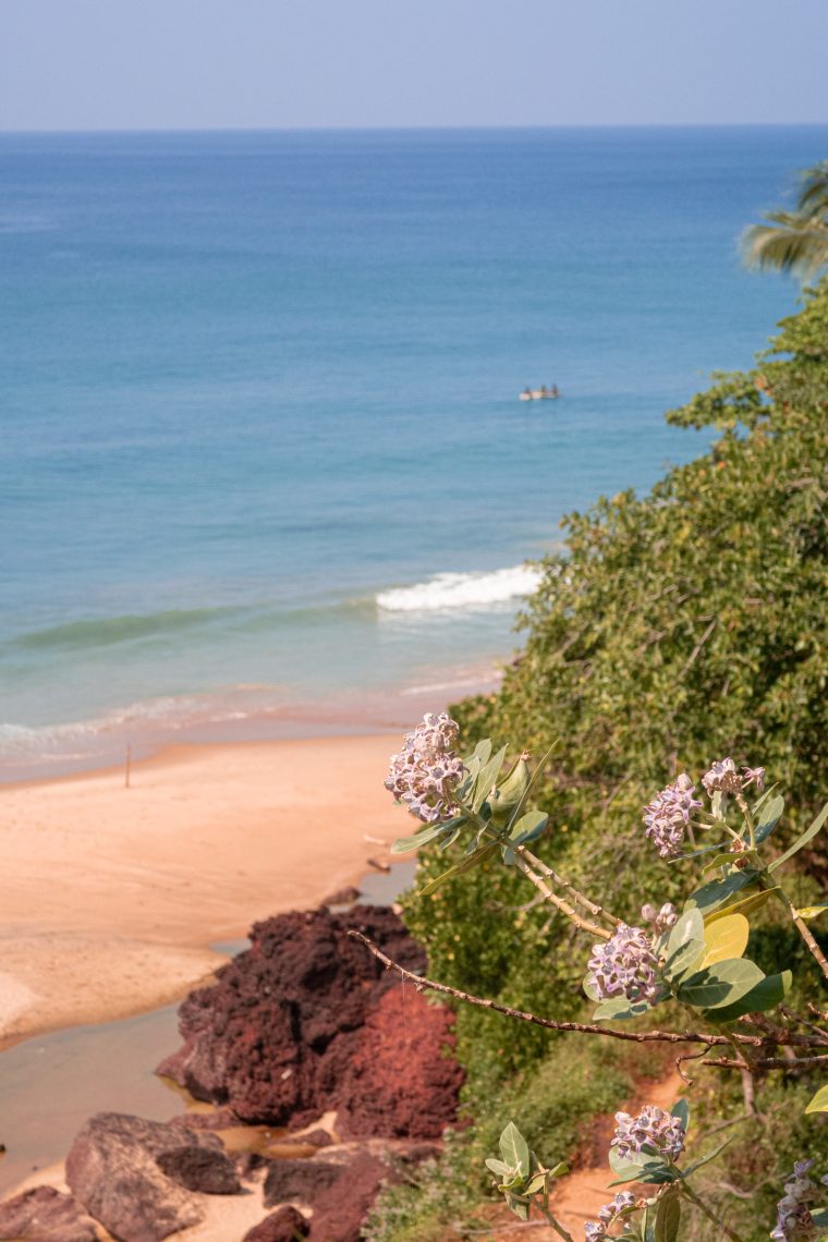 The Best Things To Do In Varkala, India