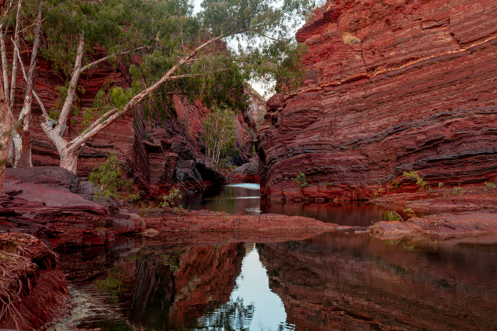 The Best Things to Do in Broome, Australia