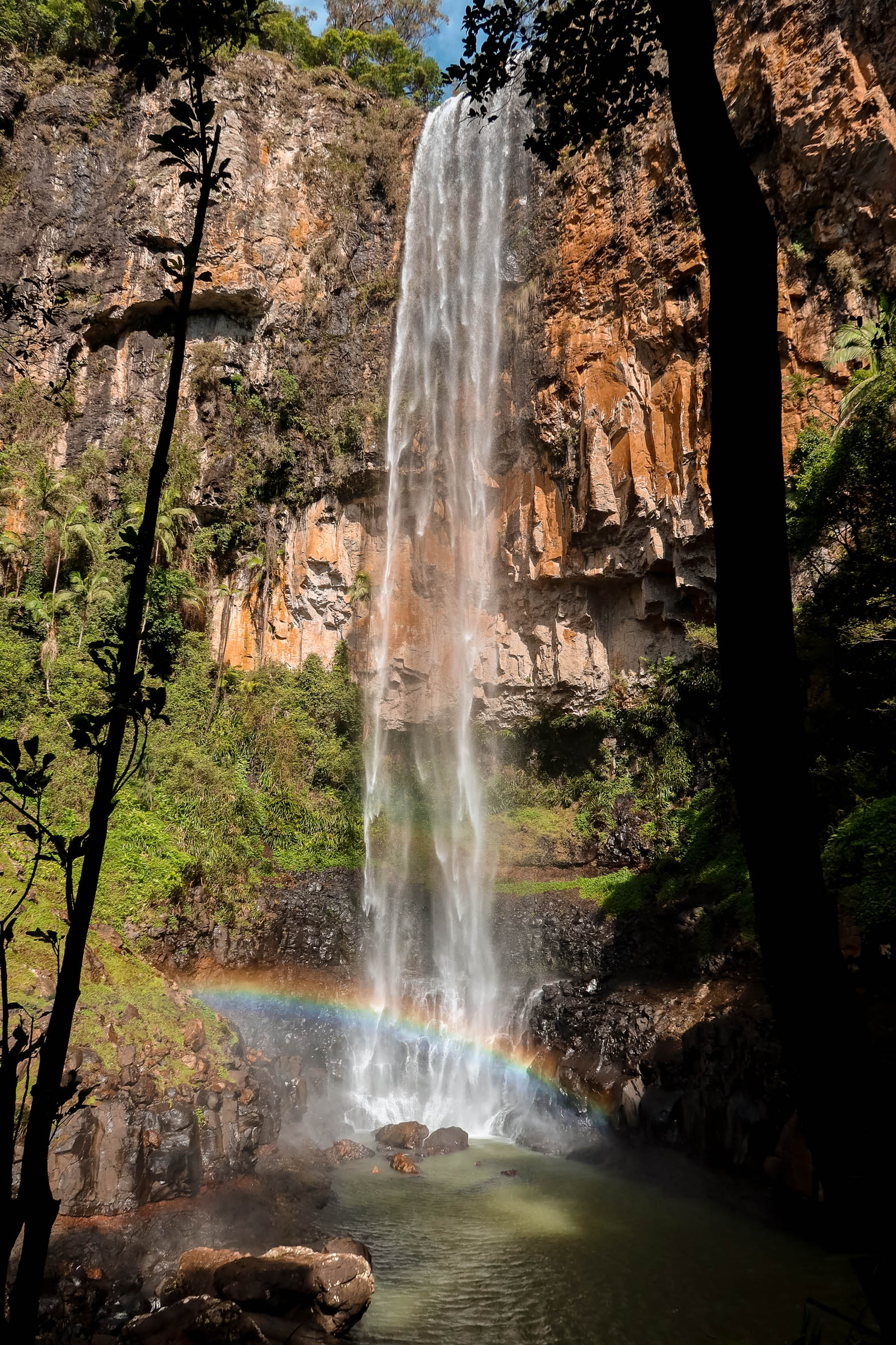 Best Things To Do In Springbrook National Park