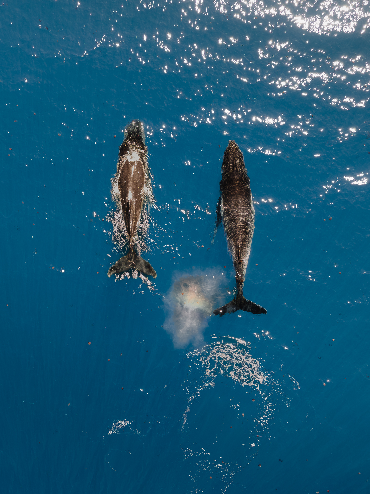 The Best Things to Do in Broome, Australia