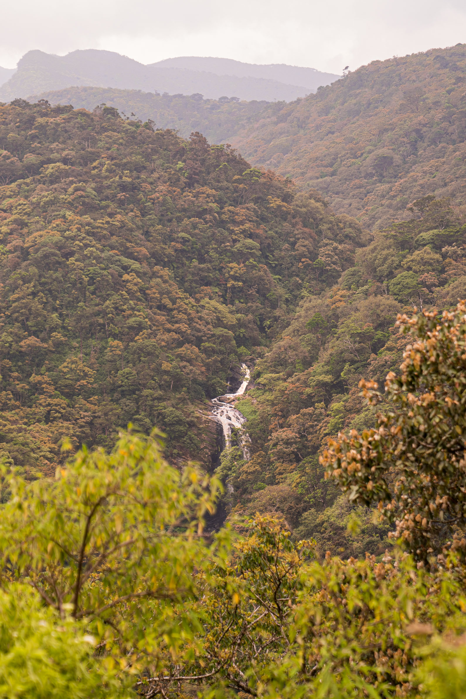 The Ultimate 2-Week Itinerary for Sri Lanka