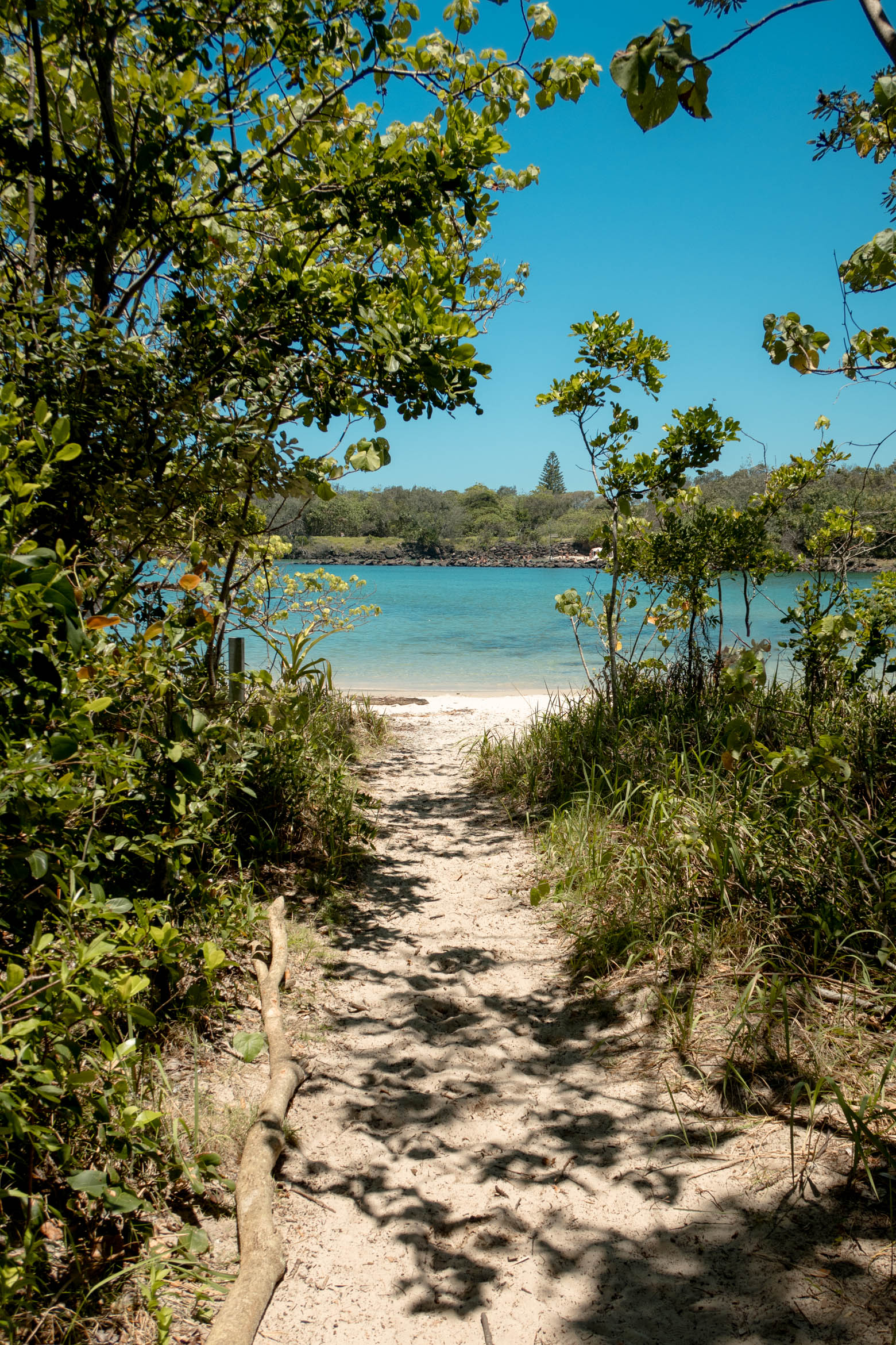 Best things to do in Brunswick Heads, NSW, Australia