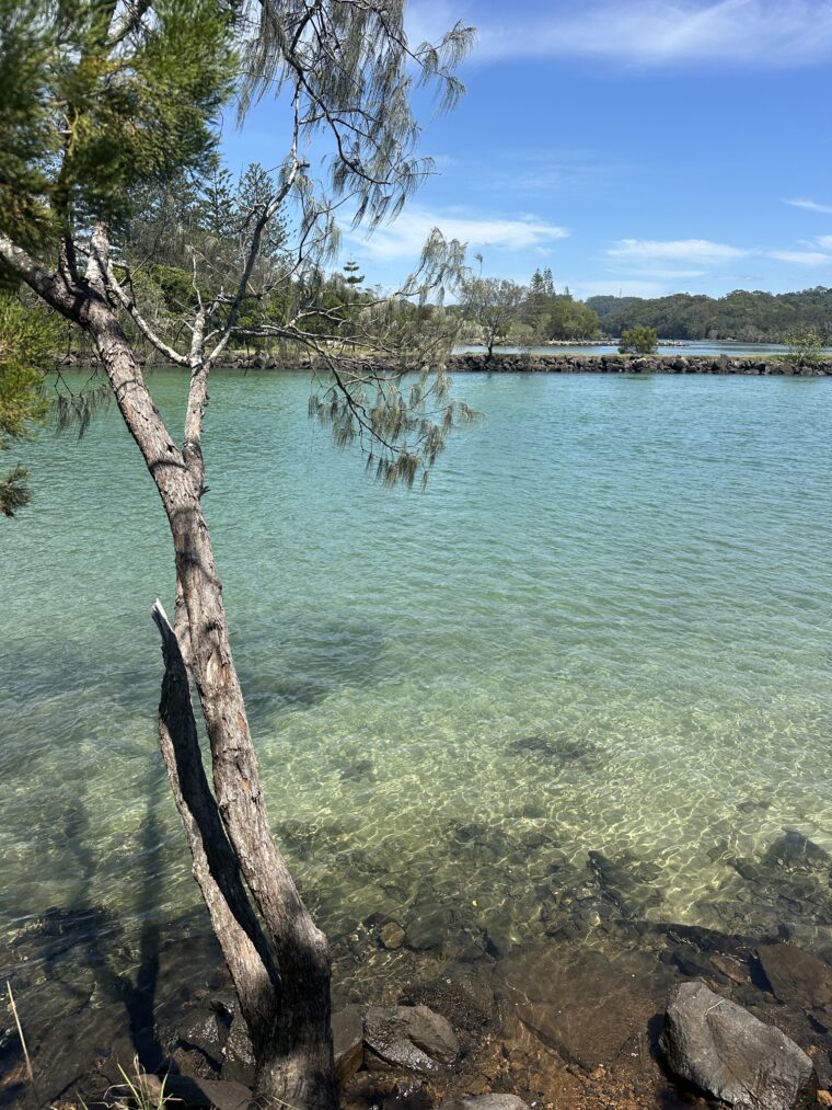 Best things to do in Brunswick Heads, NSW, Australia