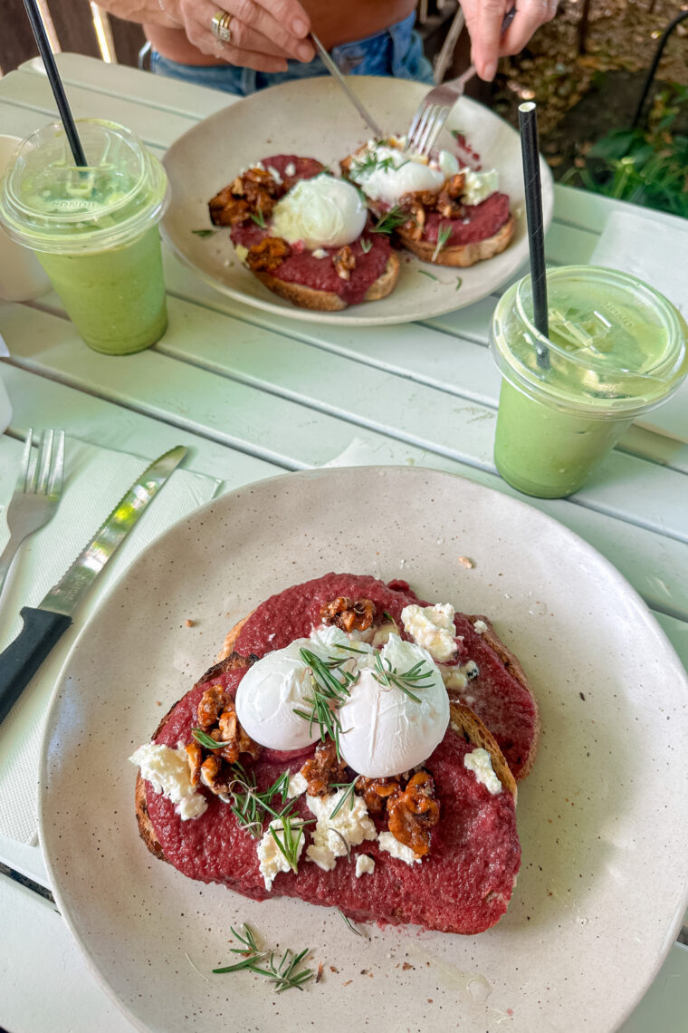 Best things to do on the Gold Coast, Queensland