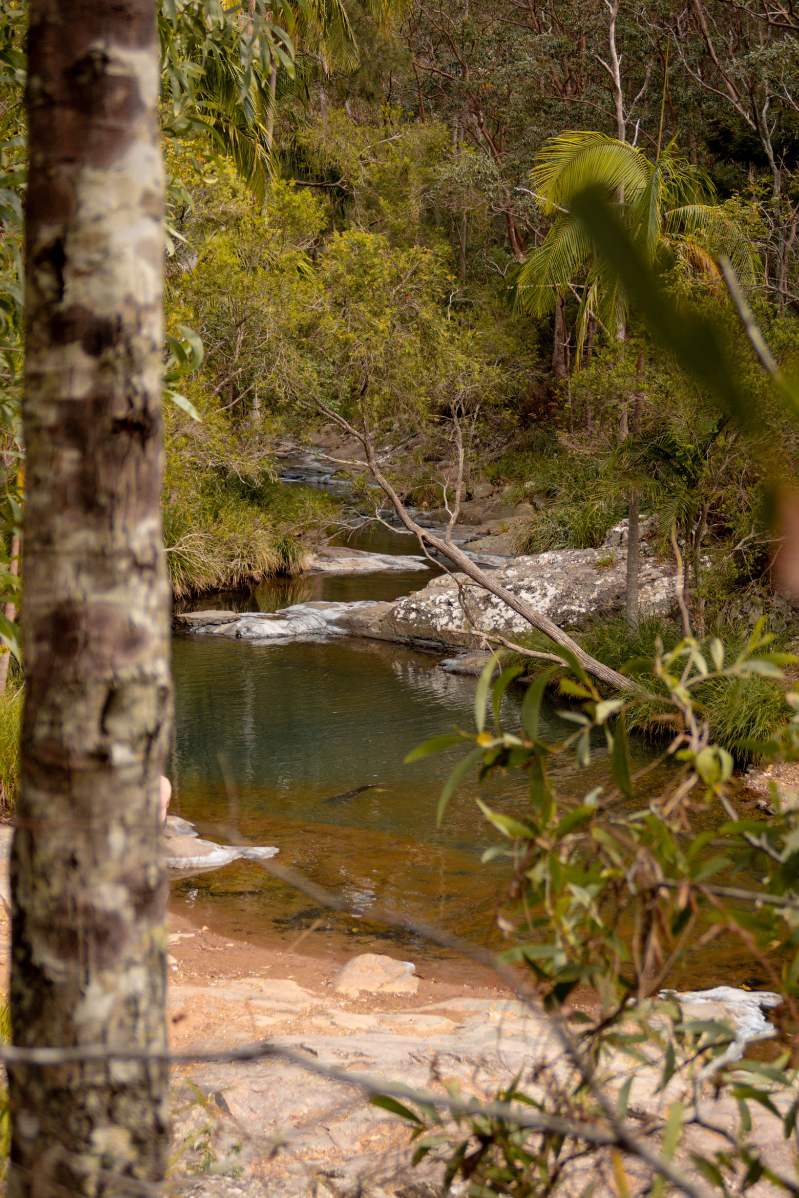 Best things to do on the Gold Coast, Queensland - We Are Global Travellers