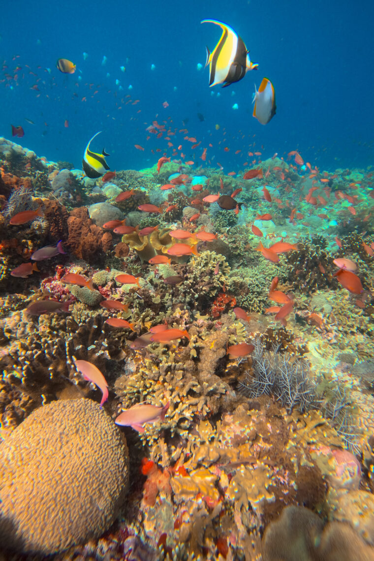 A Complete Lombok Travel Guide