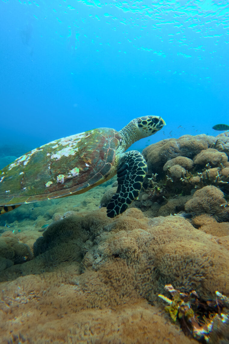 A Complete Lombok Travel Guide