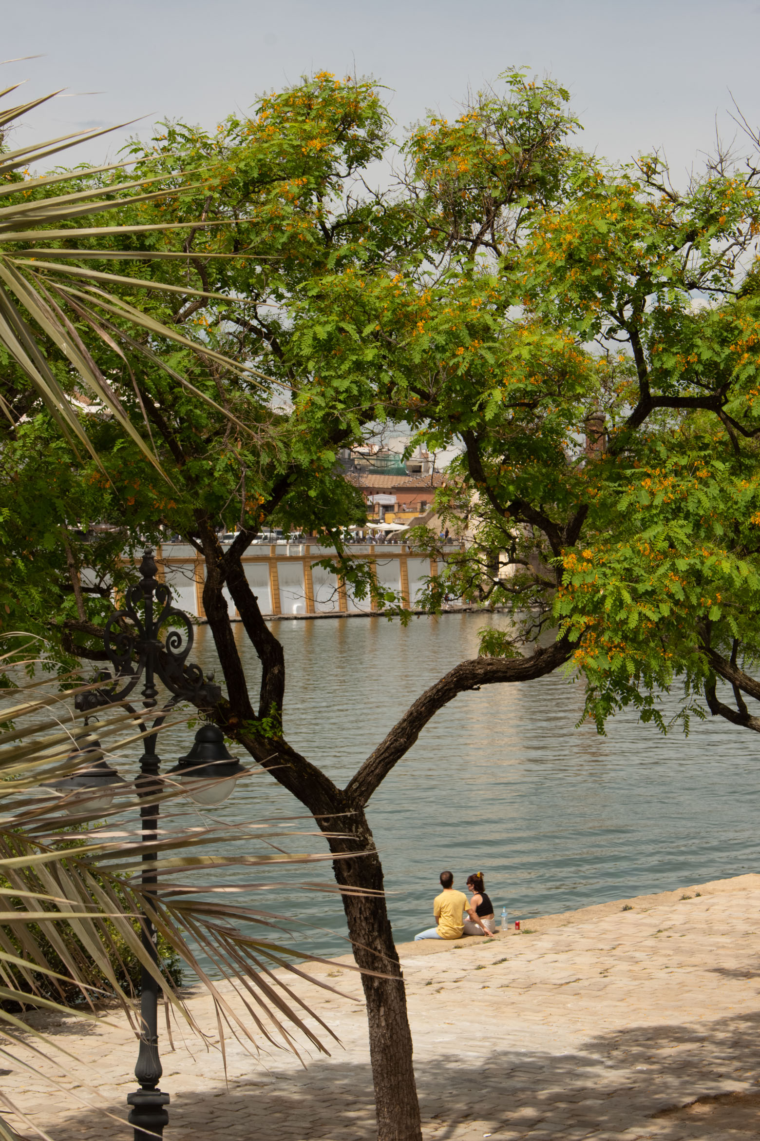 A guide to Seville, Spain