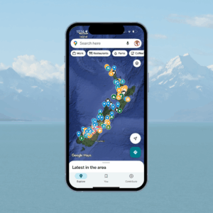 New Zealand Google Map