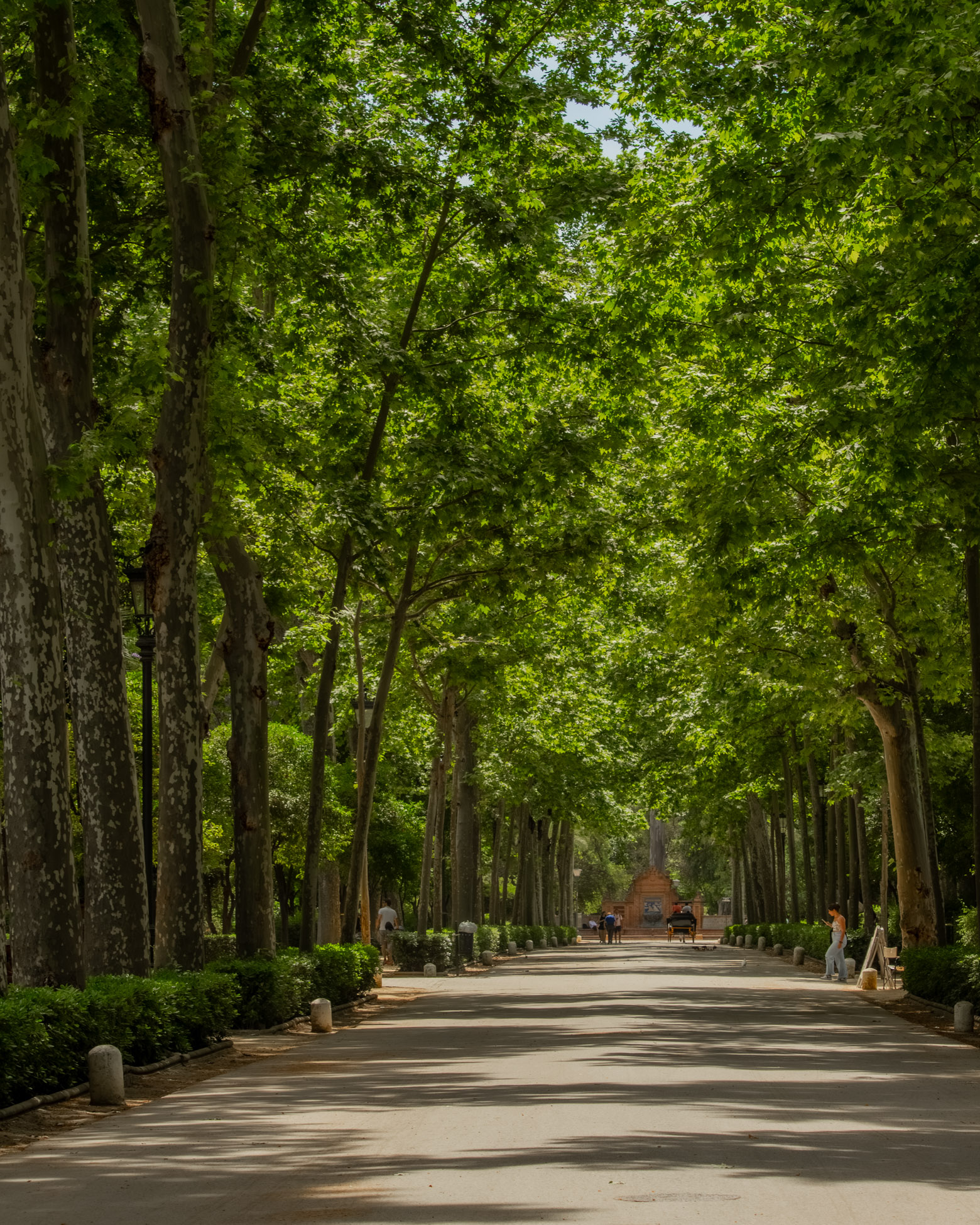 A guide to Seville, Spain