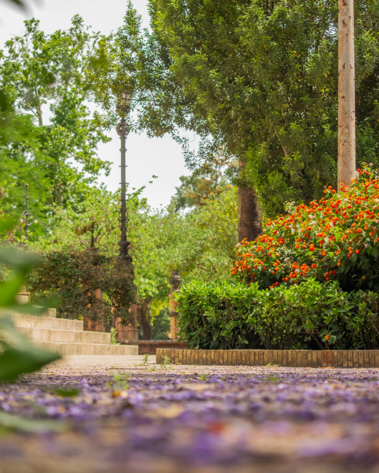 A guide to Seville, Spain