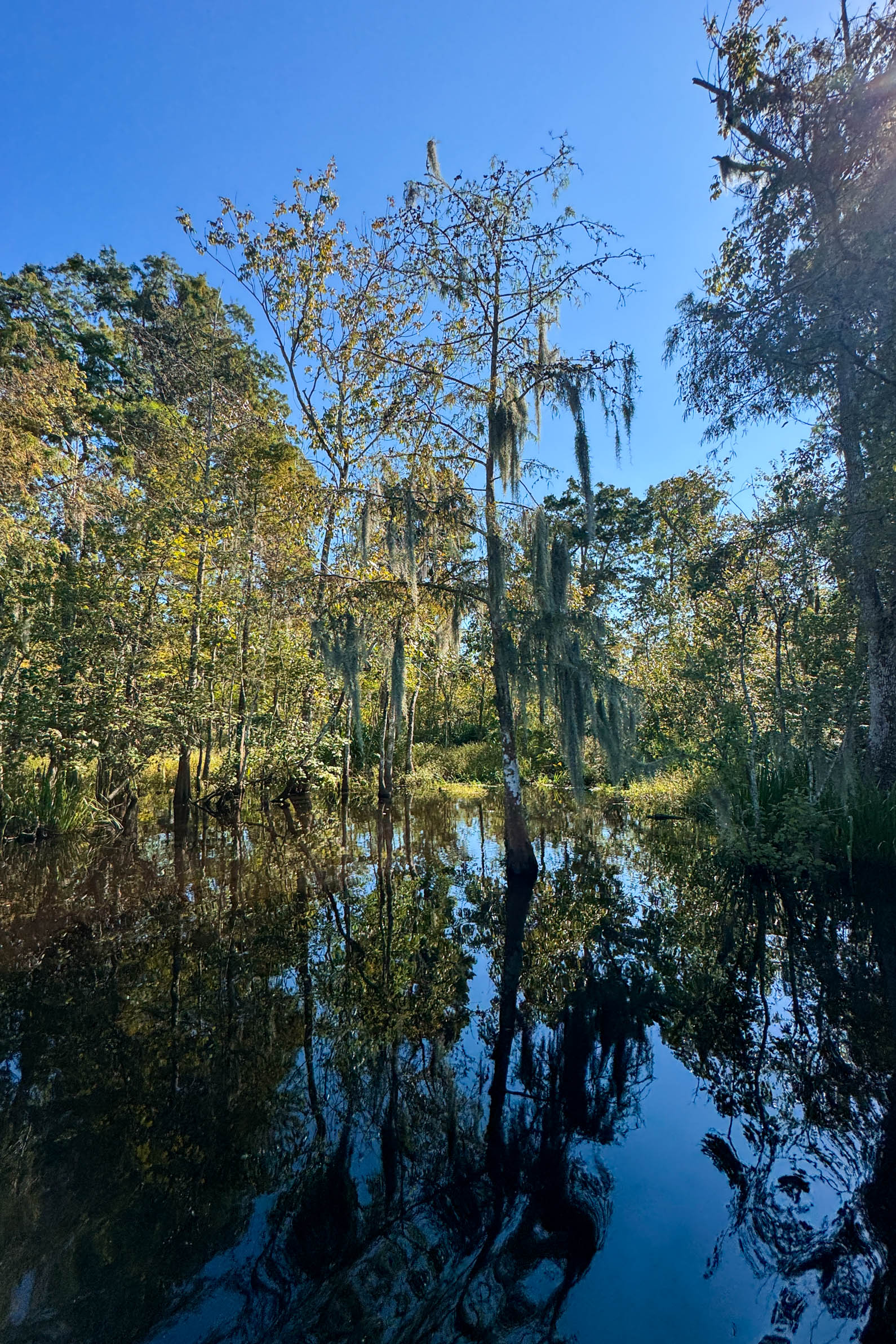 Best Things to Do in New Orleans