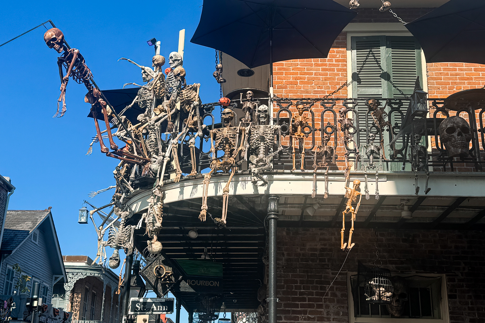 best things to do in New Orleans