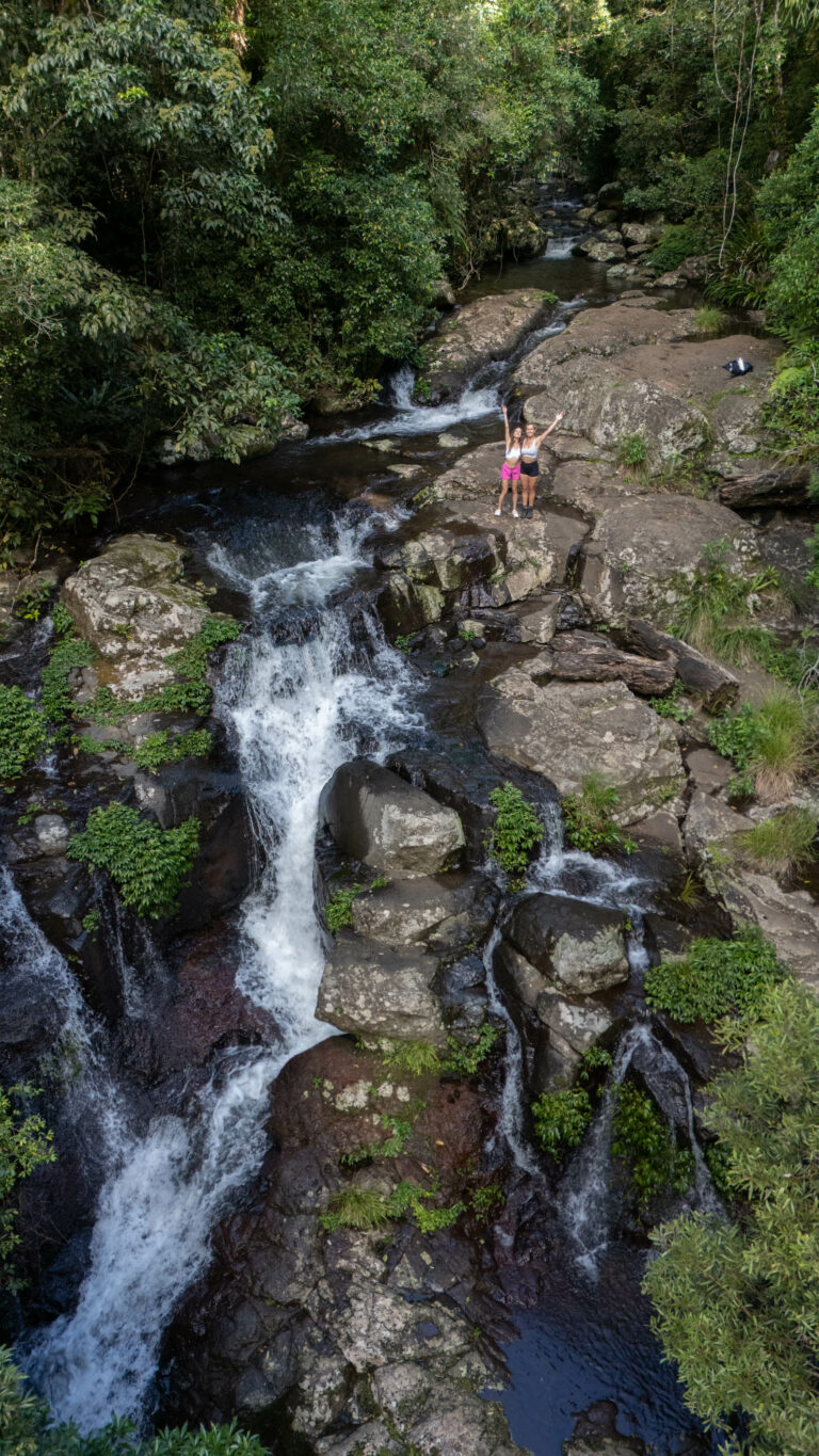 A Complete Guide to Lamington National Park, Queensland