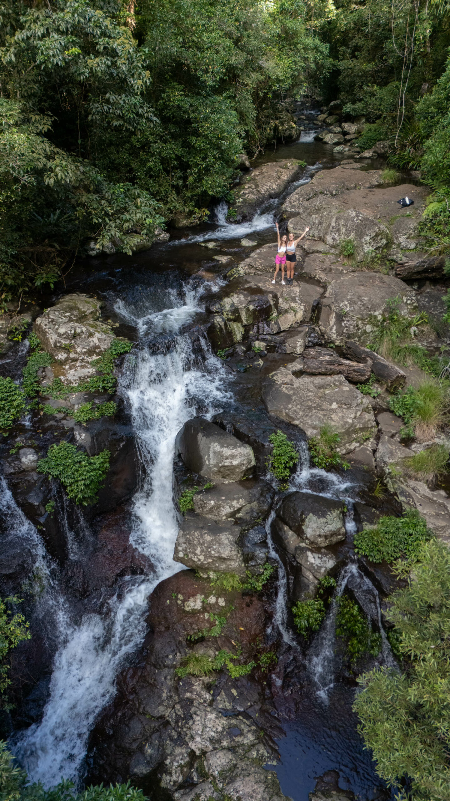A Complete Guide to Lamington National Park, Queensland