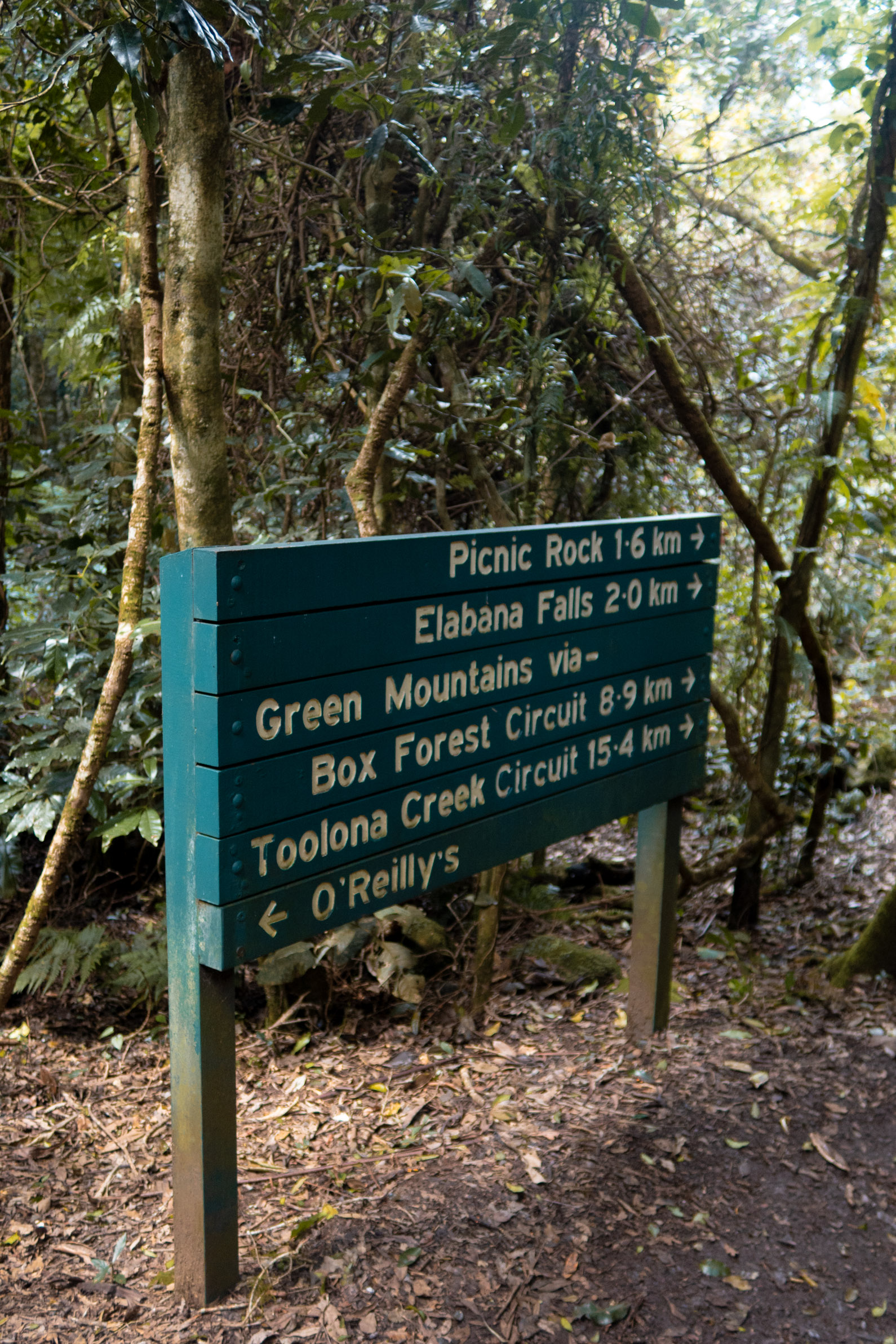 A Complete Guide to Lamington National Park, Queensland